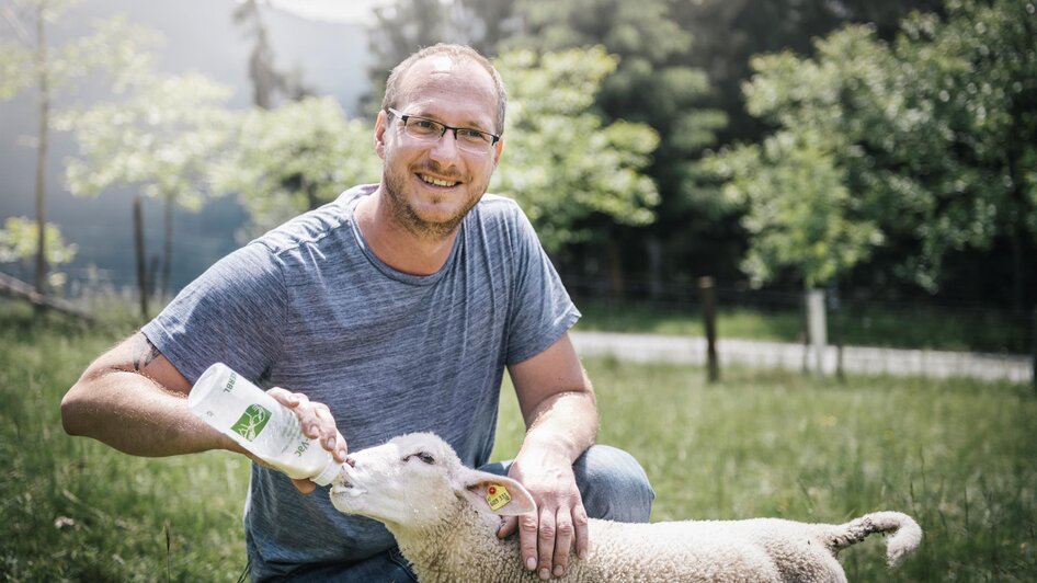 Aufzucht der Schafe | © Stefan Leitner Aufzucht der Schafe | © Stefan Leitner