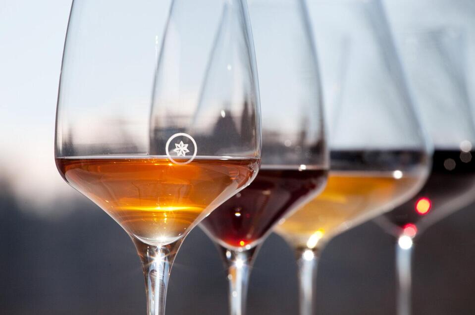 Organic wine from Ploder-Rosenberg - Impression #1 | © Weingut Ploder