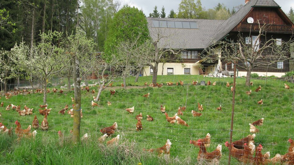 BiohofSteidl-Außenansicht1-Murtal-Steiermark | © Familie Steidl