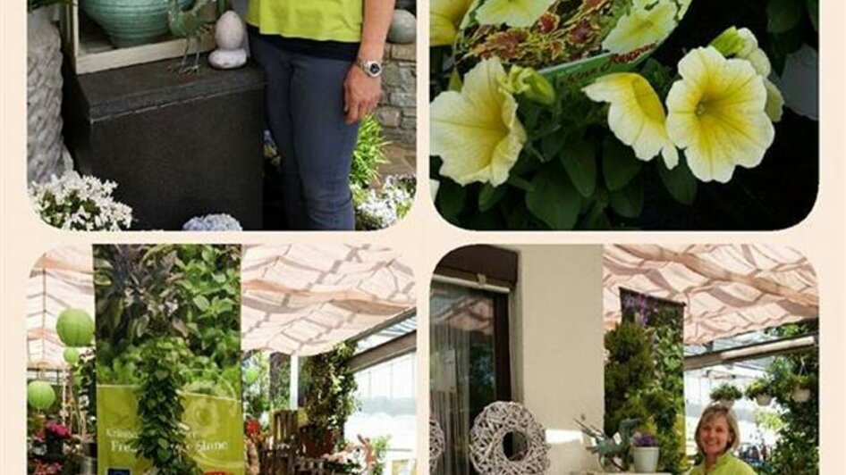 Gleichweit_Gärtnerei_Oststeiermark | © Blumen Gleichweit