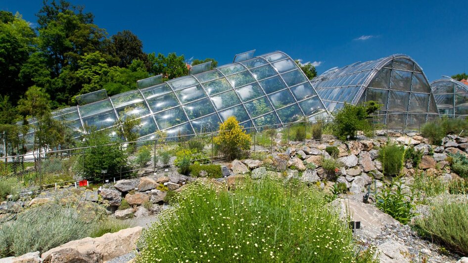 Botanischer Garten Graz mit Glashäusern | © Graz Tourismus-Harry Schiffer