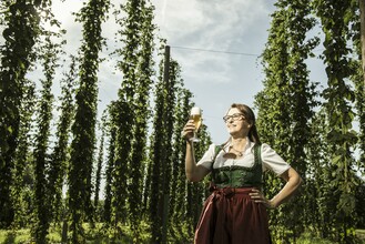 Brewery Toni Bräu_Hop Plantation_Eastern Styria | © Tourismusverband Oststeiermark