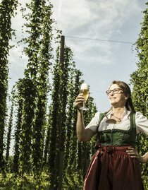 Brewery Toni Bräu_Hop Plantation_Eastern Styria | © Tourismusverband Oststeiermark | Bernhard Bergmann | © Tourismusverband Oststeiermark