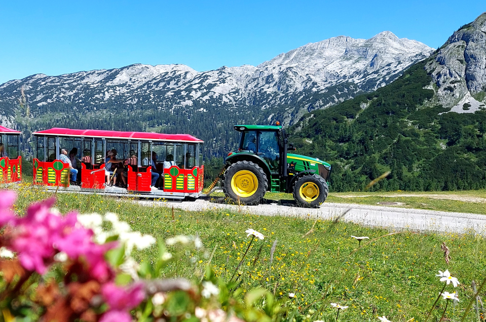 Bummelzugfahrt auf der Tauplitzalm - Berggasthof Hollhaus - Impression #1 | © Berggasthof Hollhaus