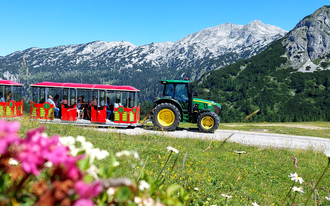 Bummelzugfahrt mit dem Hollhaus Bummelzug | © Berggasthof Hollhaus