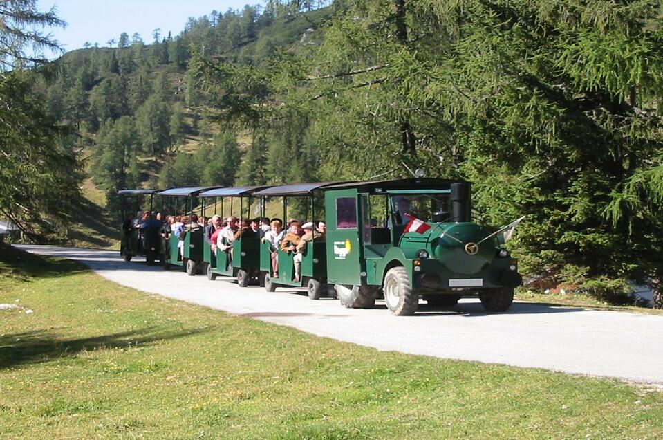 Bummelzugfahrt auf der Tauplitzalm - Gasthof Hierzegger - Impression #1 | © Hotel Hierzegger