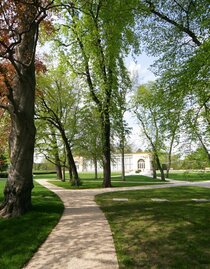 Spazierweg im Burggarten Graz im Frühling | © Graz Tourismus-Harry Schiffer | © Graz Tourismus-Harry Schiffer