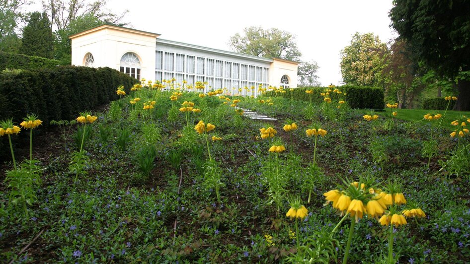 Frühlingsblumen vor der Orangerie im Burggarten Gr | © Graz Tourismus-Harry Schiffer