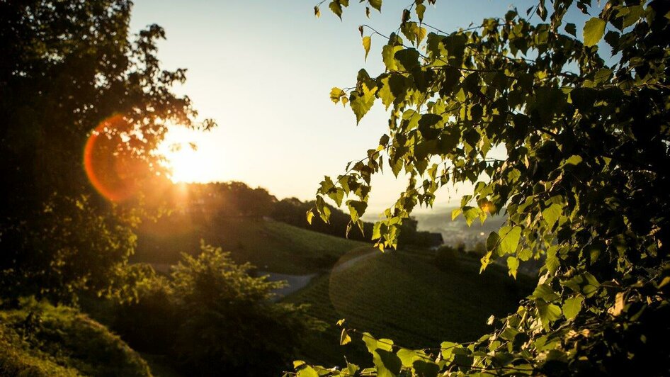 Aussicht Burg Deutschlandsberg | © Schilcherland Tourismus