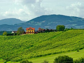 Buschenschank Burger_outside_eastern_styria | © Familie Burger