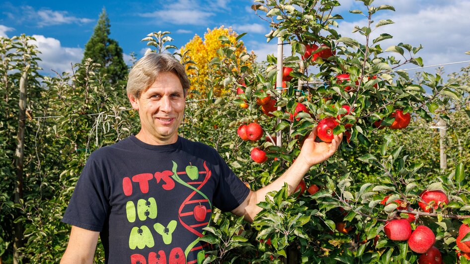 Obst und Weinbau Grillbauer | © TV Region Graz-Harry Schiffer