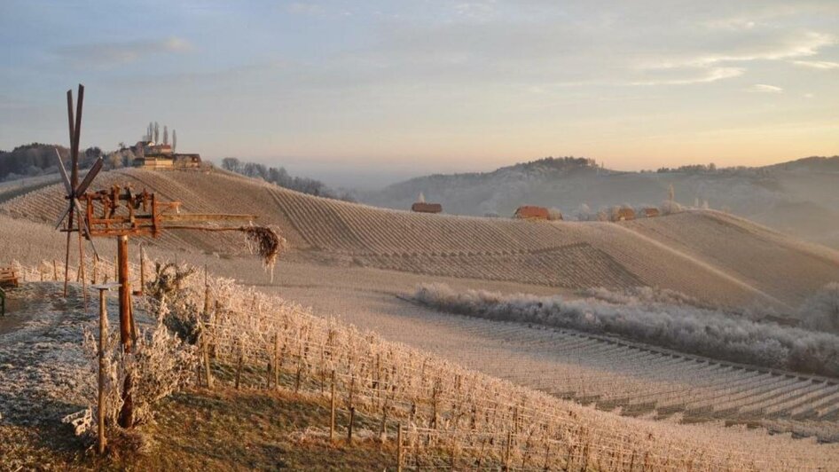 Weingut Kögl (14)