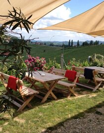 Weingut Kögl Buschenschank | © Weingut Kögl | Tamara Kögl | Tamara Kögl | © Weingut Kögl | Tamara Kögl Weingut Kögl Buschenschank | © Weingut Kögl | Tamara Kögl | Tamara Kögl | © Weingut Kögl | Tamara Kögl