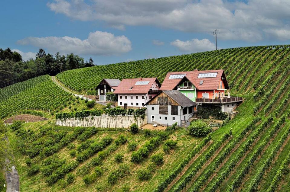 Buschenschank Kogelhohl - Impression #1 | © Familie Hainzl