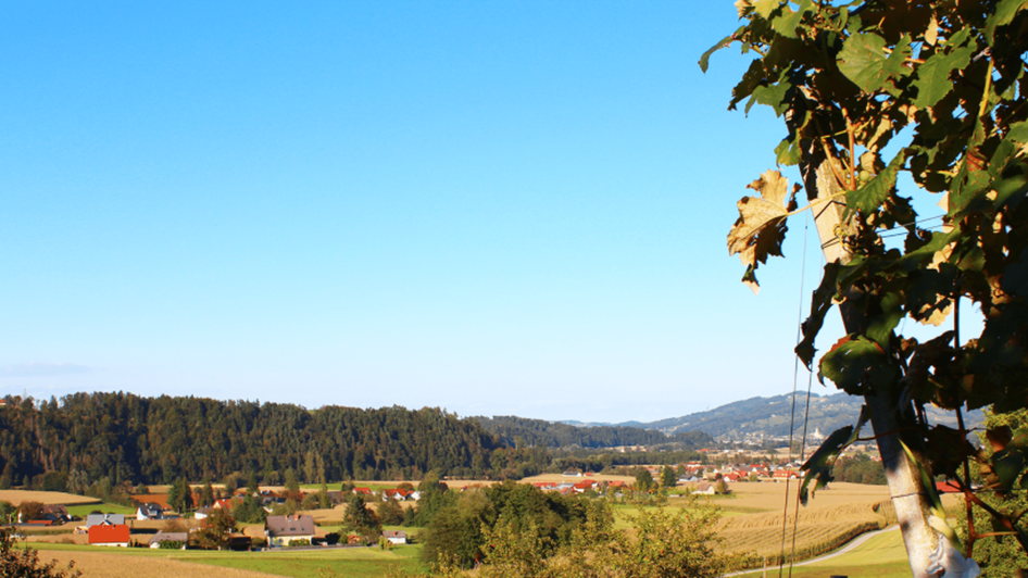 Aussicht Labanz | © Marion & Peter Labanz | Buschenschank Labanz