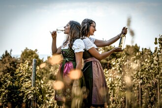 Buschenschank Singer_wine drink_Eastern Styria | © Buschenschank Singer