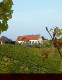 Weingut Stromeier Trobi | © Weingut Strohmeier Trobi | Weingut Strohmeier Trobi | © Weingut Strohmeier Trobi