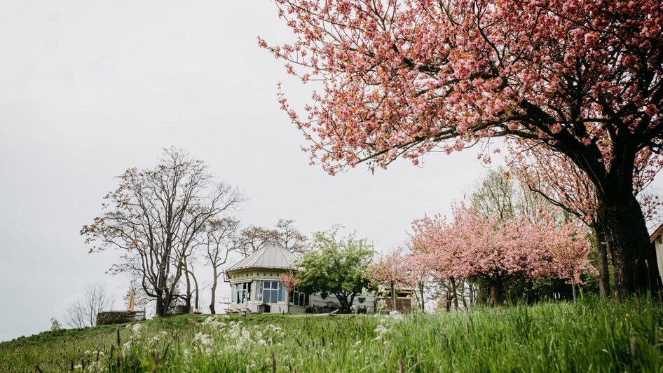 Cafe Rosenhain - Frühlingsblick | © Cafe Rosenhain