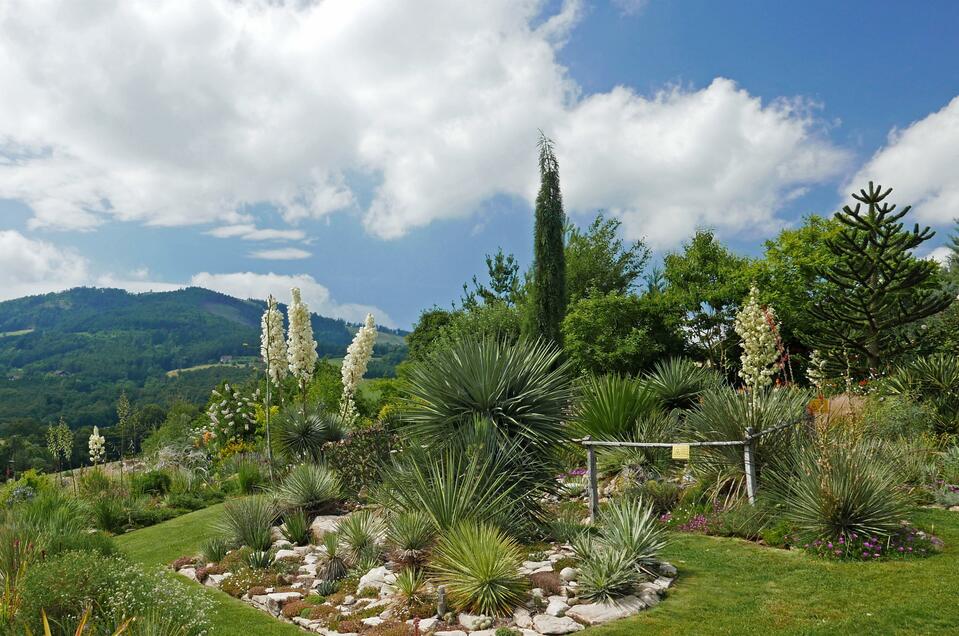 The desert garden - Impression #1 | © Der Wüstengarten