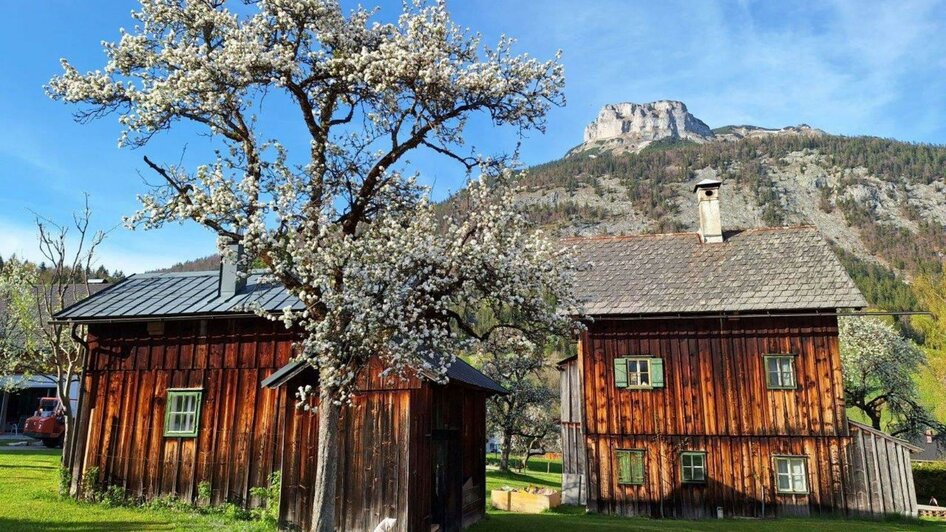 Destillerie Kadar, Altaussee, Landwirtschaft | © Ernst Kadar