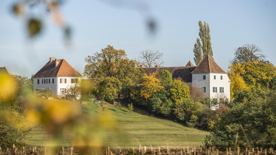 Schloss Welsdorf in der Nähe von Fürstenfeld | © Schlösserstraße