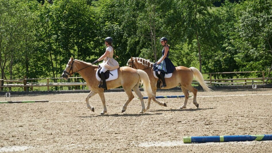 Reiten bei den Pferdefreunden Zloam | © Narzissendorf Zloam