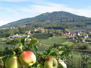 Apfelstraße_Ortsansicht_Oststeiermark | © Tourismusverband Oststeiermark