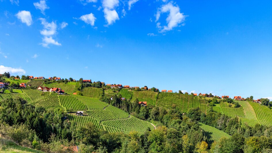 Panoramaansicht Hochgrail | © Schilcherland Steiermark