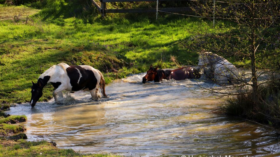 Double T Ranch 2 | © Double TT Ranch