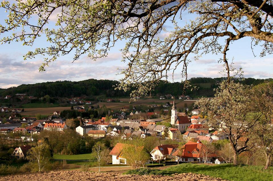 Gnas | Toni Tropper | © Toni Tropper General practitioner Dr. Patrick Krisper in Gnas - Impression #1 | © Toni Tropper