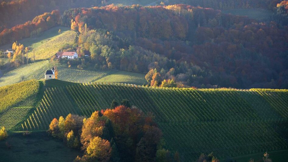 Dreisiebner Kapelle Herbst | © Maggy & Georg Dreisiebner | Weinbau Dreisiebner