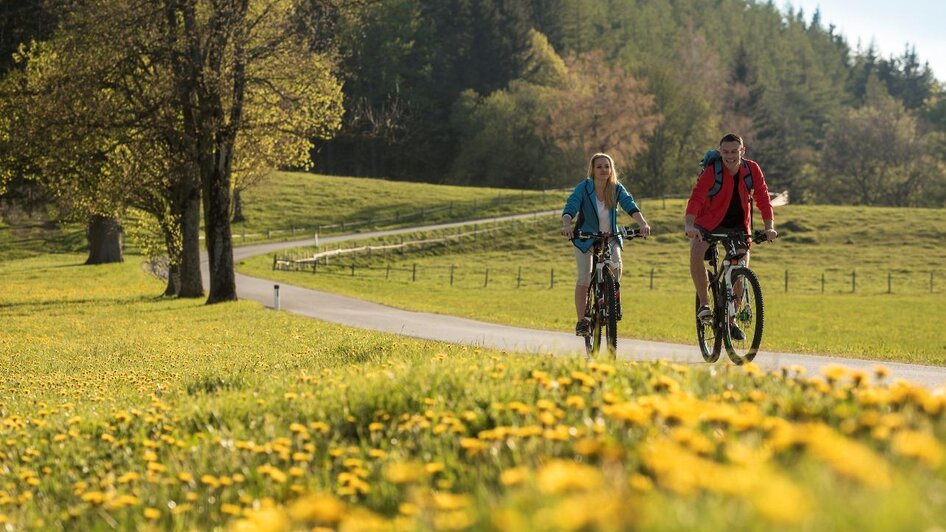 Radfahren_Oststeiermark_Bergmann | Bernhard Bergmann | © Tourismusverband Oststeiermark Radfahren_Oststeiermark_Bergmann | © Tourismusverband Oststeiermark