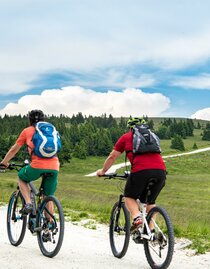 E-Bike rental_biker to the Hochwechsel_Eastern Styria | © Region Joglland - Waldheimat | Kurt Elmleitner | © Region Joglland - Waldheimat