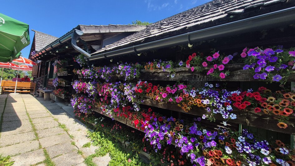 Blumenpracht am Berg.