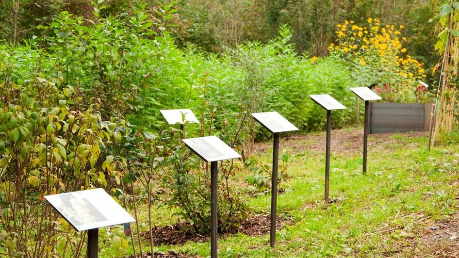 Energie-Erlebnis-Park_Botanik und Natur | © Heimo Kos