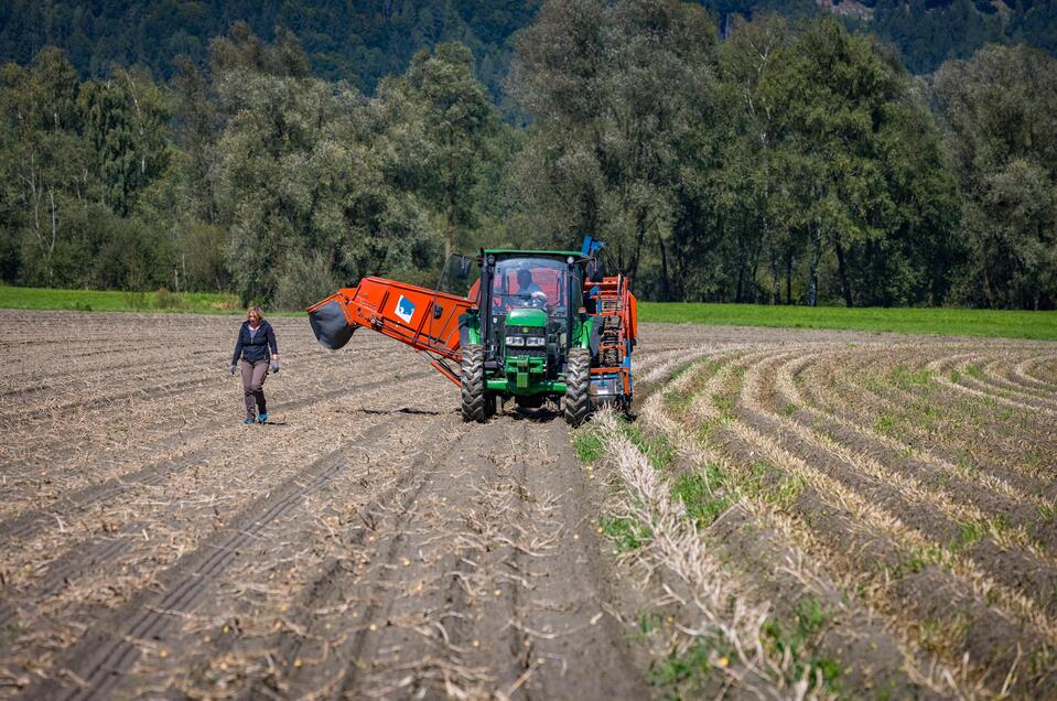Ennstaler-Erdäpfel Familie Gerl - Impression #1 | © Netzwerk Kulinarik wildbild