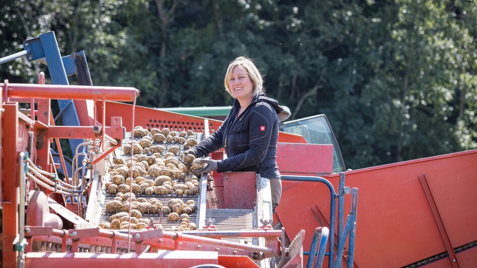 Ennstaler Erdäpfel, Familie Gerl | © Netzwerk Kulinarik wildbild