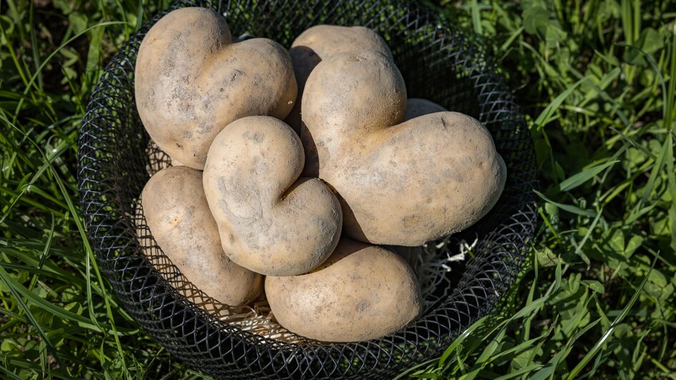   | © Netzwerk Kulinarik wildbild