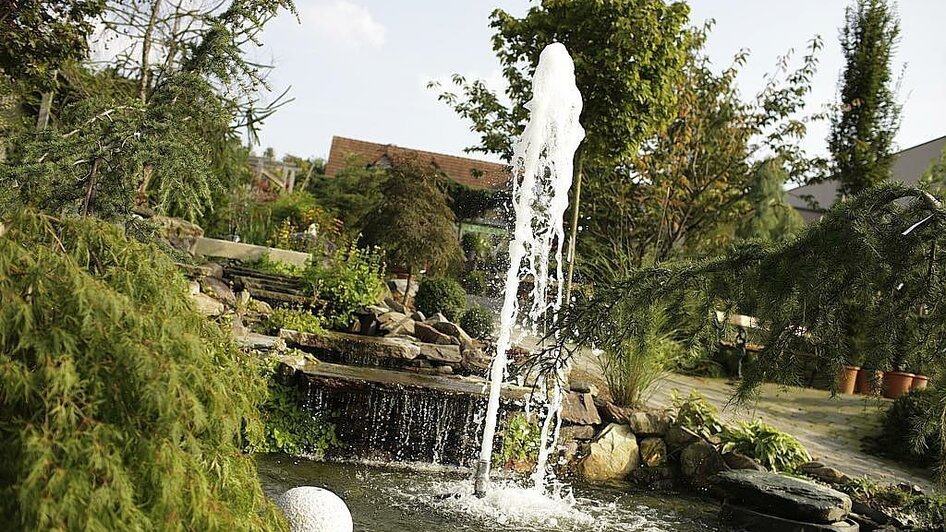 Höfler_Wassergarten_Oststeiermark | © Baumschule Höfler