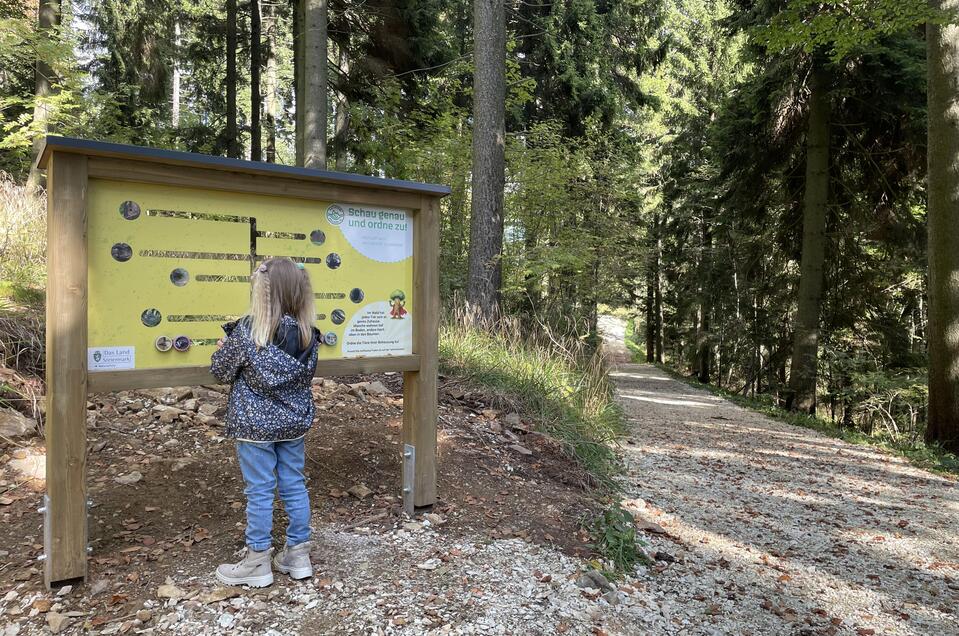 Masen.Berg. adventure trail - Impression #1 | © Osteiermark Tourismus, Manuela Schnur