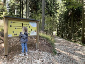 Masen.Berg._Your Forest Adventure_ Eastern Styria | © Osteiermark Tourismus, Manuela Schnur