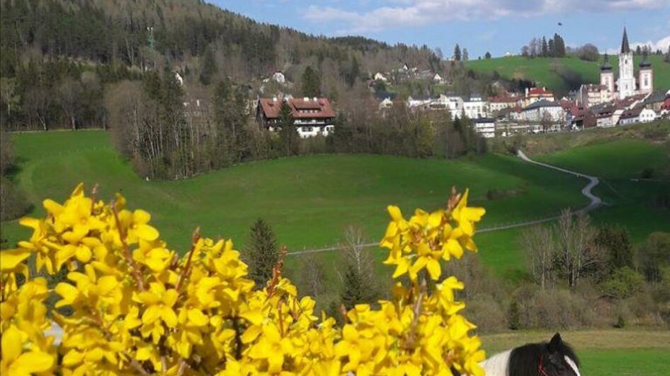 Blick zur Basilika