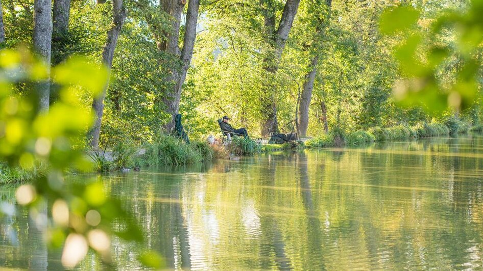 Winzendorfer Teiche_Blick auf Teich_Oststeiermark | © Winzendorf Teiche