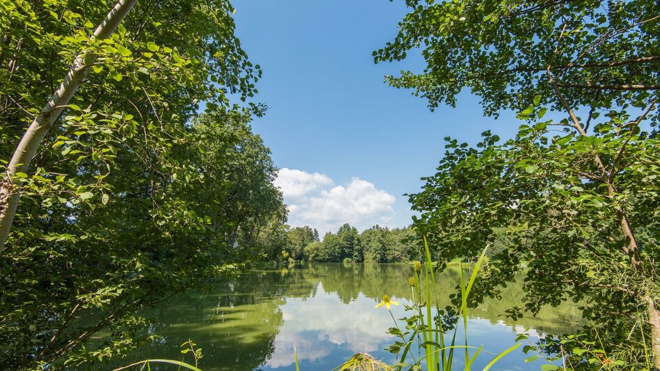 Winzendorfer Teiche_Teichblick_Oststeiermark | © Winzendorfer Teiche