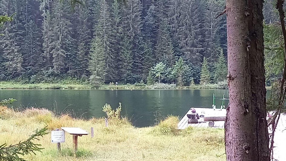 Spechtensee mit Steg in Wörschachwald | © TVB Ausseerland Salzkammergut/Raunigg