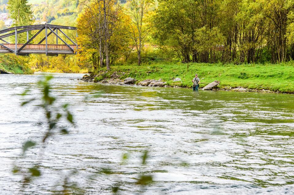 Fishing in the Bodendorf dam - Impression #1 | © Rene Hochegger