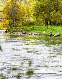 Fischen in der Mur | TV Murau | © Rene Hochegger