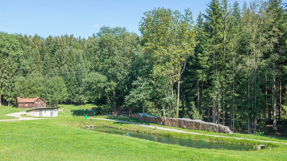 Forellenzucht Mauerhofer_Teich_Oststeiermark | © Helmut Schweighofer