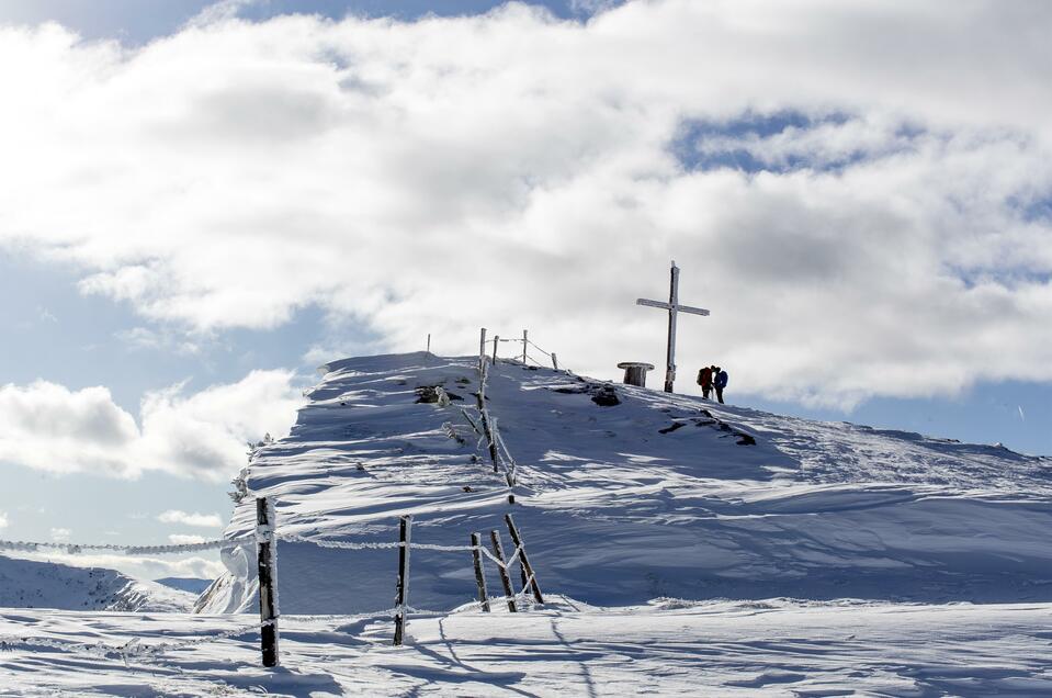 Frauenalpe - Impression #1 | © Tom Lamm / Region Murau