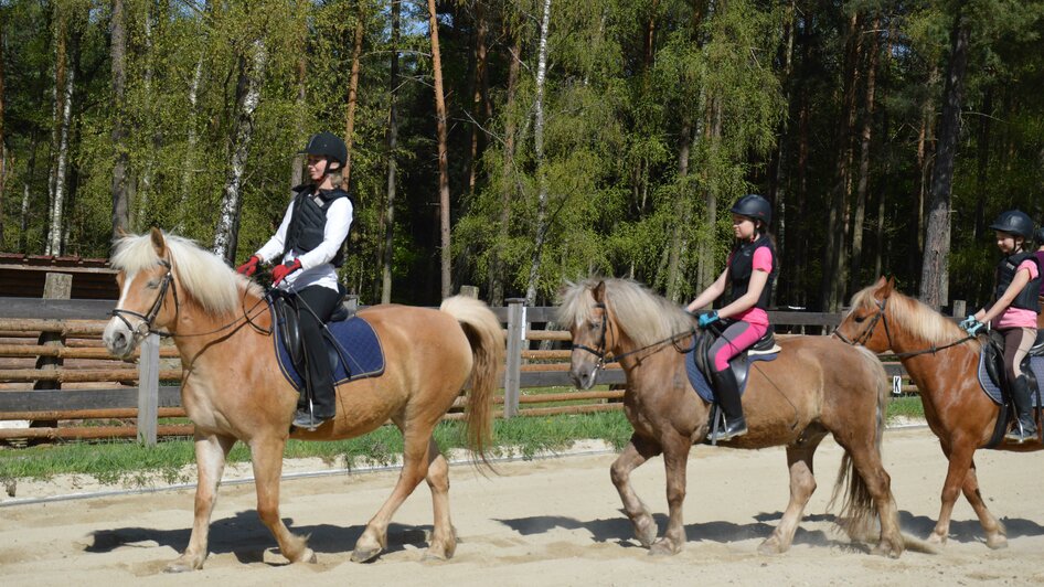 Römerhütte_Reiten_Oststeiermark | © Michael Lechner